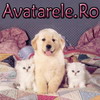 avatare Animale