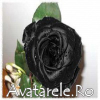 Trandafiri Pentru Avatar
