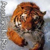 Avatare Tigri